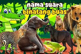 Suara Binatang Buas